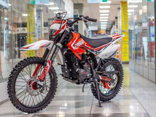 Питбайк PROGASI SMART 150 MAX
